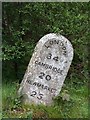 Old Milestone by the B1383 in Quendon