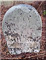 Old Milestone by the A40, Maescar Parish