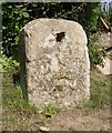 Old Milestone by the A27, Salisbury Road