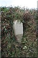 Old Guide Stone by Colcharton Cross, Gulworthy Parish