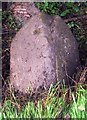 Old Milestone by the B9099 near Drummond Hall