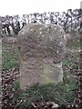 Old Milestone by the B1246, Bainton