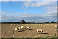 Field beside Catterton Lane