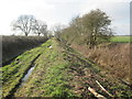 Drain  Lane  (track)  toward  North  Howden