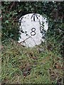 Old Milestone by the B4521, near The Old Court House