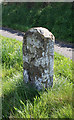 Old Milestone by the former A303, west of Horton Cross