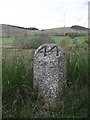 Old Milestone by the A944 at Forbestown