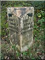 Old Milepost by the A4103 in Storridge