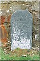 Old Milestone by the A458 near Foel