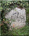 Old Milestone by the A337, Christchurch Road, Old Milton