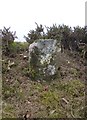 Old Milestone on Sherberton Common