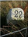 Old Milestone by the A702, Dalveen Pass