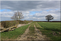 SE5142 : Track leading to Pallathorpe Farm by Chris Heaton