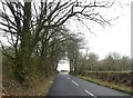SS3817 : Hedgebank and hedge near Wrangworthy Cross by David Smith