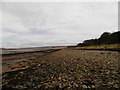 NH7249 : Shore at Alturlie Bay by Douglas Nelson