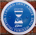 ST1289 : Aber Valley YMCA blue plaque, Abertridwr by Jaggery