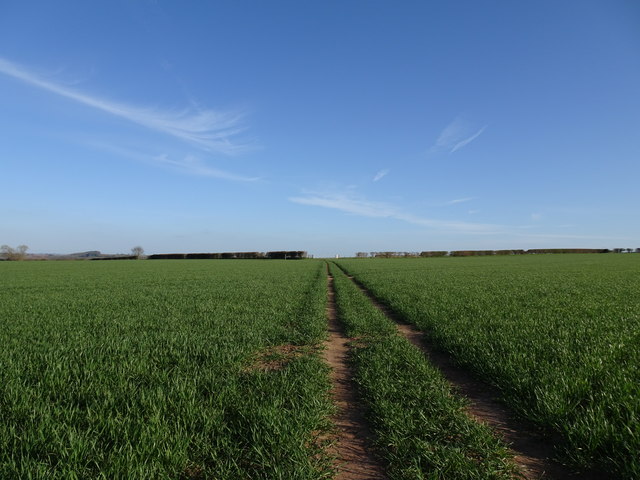 Field Path View