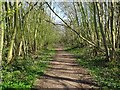 Permissive footpath on the trackbed of the former Derby to Ashby railway