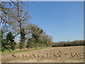 TG3921 : Ploughed field near Heath Farm, Catfield by Adrian S Pye