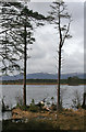 NH9617 : Loch Mallachie by Anne Burgess