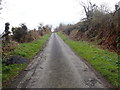 Bernish Road climbing towards the Viewpoint