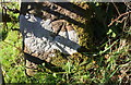 Benchmark on gatepost on SW side of B5344 at Moor House