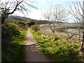 Coastal path