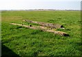 TM4598 : View across pastures in the Haddiscoe Marshes by Evelyn Simak
