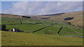 Fields above Foxup, Littondale