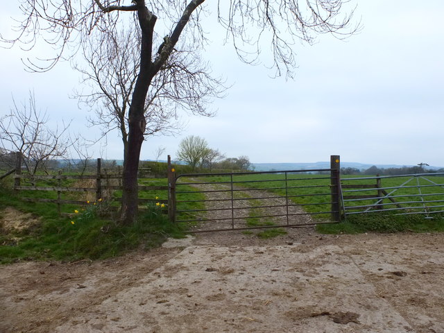 Path from Butchers Fold Farm to Frances Green