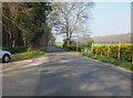 Looking towards Methwold