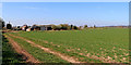 South Staffordshire farmland east of Pattingham