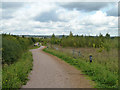 Path, Thames Chase Forest