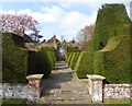 Topiary at Doddington Place Gardens, near Faversham