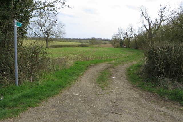 Bridleway towards Water Stratford © Philip Jeffrey :: Geograph Britain ...