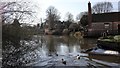 SK5064 : Pleasley Mill Pond by Alan Walker