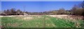 Salary Brook Flood Plain Panorama