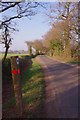 Special Verge on Wivenhoe Rd