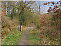 Gate on the Path at Dearden Clough