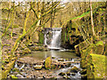 Waterfall on Dearden Brook