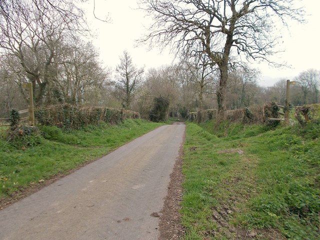 Castle Lane, looking north