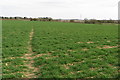 Footpath to Grovehill Farm