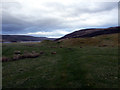 Quad bike track across Kilbraur farmland