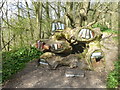 SK3455 : Library in a tree root on the woodland walk by Graham Hogg