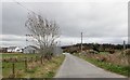 Approaching the A1 underpass on the Carrivekeeney Road