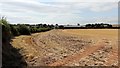 Looking toward Roseland Farm