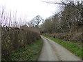 Lane between Whitcott Keysett and Newcastle on Clun