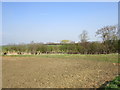 View towards Hill Farm