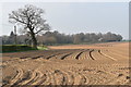 Ploughed fields on the edge of Holbrook