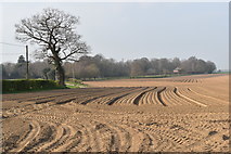 TM1637 : Ploughed fields on the edge of Holbrook by Simon Mortimer